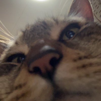イトゥーのトゥイッターさんのプロフィール画像