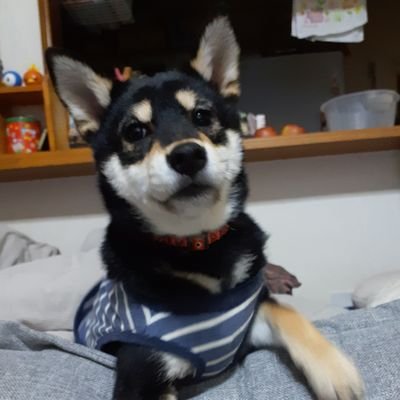Mii_06785's profile picture. 