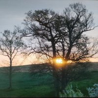 ぴの (@pinoacchon) Twitter profile photo