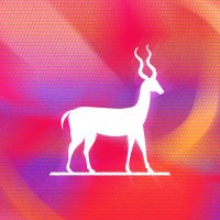 Studio Antelope(@studioantelope) 's Twitter Profile Photo