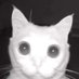 Alodby (@vhsclo) Twitter profile photo Alodby (@vhsclo) Twitter profile photo