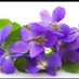 PurpleSaThi (@purplesathi) Twitter profile photo PurpleSaThi (@purplesathi) Twitter profile photo