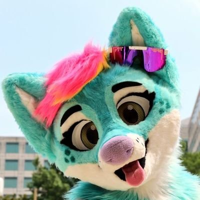 he/him|| 21 || Pan || Fursuiter || Certified Vibe😎 || @Vironect ❤️