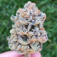 TJeffSmokez (@jeffreytomas89) 's Twitter Profile