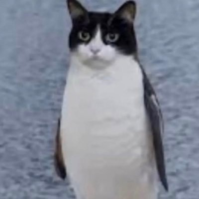 Zyzzar420's profile picture. Trabajo cargando kilos porque no estudie de joven