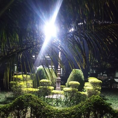 ain786's profile picture. 