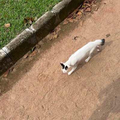 tunnelstoke's profile picture. 