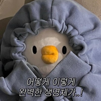 fan account / 디엠 알림이 진짜 안와요ㅠ #햇_연뮤_관극일지 #햇_연뮤_영상일지 #햇_연뮤_레전모음 https://t.co/eknsdQAW7N