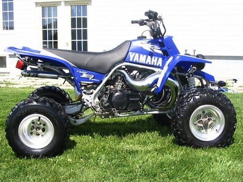 StinkyPinksy's profile picture. 