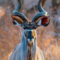 Jason (@ray_mordt) 's Twitter Profile