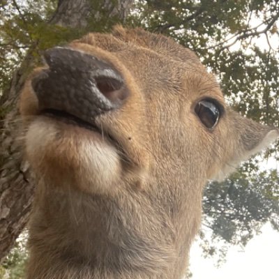こどもさんのプロフィール画像