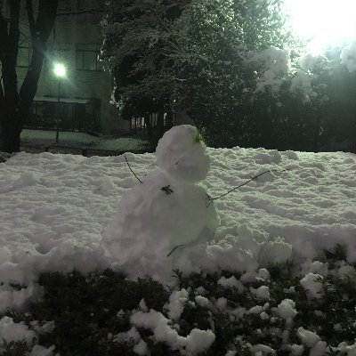 SMichae39790404's profile picture. 