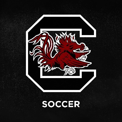 GamecockMSoccer Profile Picture