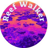 Reef Walker (高橋 遼) (@reefwalker2023) 's Twitter Profile