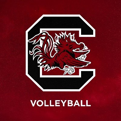 Gamecock Volleyball Profile