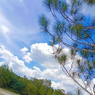 secca_12's profile picture. 