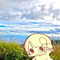 さばいばー やまん🏝️(@survival_yaman) 's Twitter Profile Photo