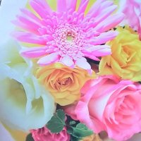 ãªãâïžãããâ€RPãæ¶ããäžå
·åããããŸãðŠ (@yqv2v) 's Twitter Profile Photo ãªãâïžãããâ€RPãæ¶ããäžå
·åããããŸãðŠ (@yqv2v) 's Twitter Profile Photo