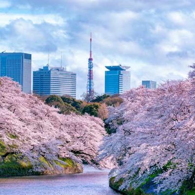 lbQqMeg0a743PMw's profile picture. 