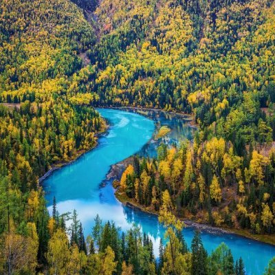 theriger454's profile picture. 