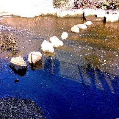 昭和生まれ。
吸死のキンデメさんや拳ミカ、ポンチ三兄弟など。
気弱な人見知りで基本壁打ち。F/R/Bご自由に。
センスを持たないまま生きてます。
https://t.co/qv5MbB13xg