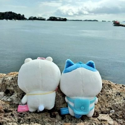 ちいかわアカウント！ちいかわちゃん&ハチワレちゃん推しです💓カード、シールなどはコンプ、その他缶バッジやアクスタなどは推しの2人中心に集めています！交換などのお取引もこのアカウントで！成人済み女性です！