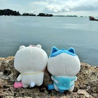 こな (@kona_chiihachi) 's Twitter Profile Photo こな (@kona_chiihachi) 's Twitter Profile Photo