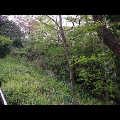 icchi_da4's profile picture. スプラトゥーンに関することを呟く。 現在のウデマエはS+。スプラ2での最高Xパワー : ガチエリア2515.8。
マイクラ関連はこっち→ https://t.co/ZCNAh6cIcP