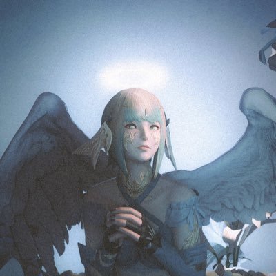 おもちさんのプロフィール画像