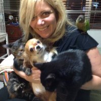 Ivah Spencer (@ivahspence83722) 's Twitter Profile