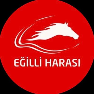 EĞİLLİ HARASI