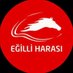 EĞİLLİ HARASI (@Egilliharasi) Twitter profile photo