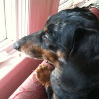 MikeKirby (@mikekirbyone) 's Twitter Profile