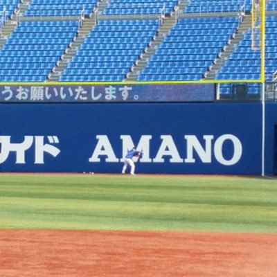 amanonegra's profile picture. Yamanashi🗻→Osaka🍍→Peru🇵🇪→Yokohama⚾️