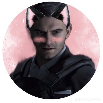 @raccoons____