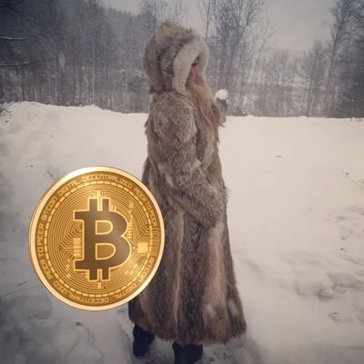 Not here to build an X or XXX fan club

♀️ ᚱᚬ 🇸🇪 #Bitcoin 🧡