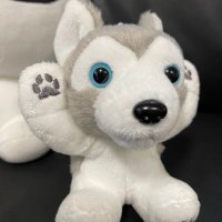 koo🐺🥀 WRLD:4444 (@koo41093636) 's Twitter Profile Photo koo🐺🥀 WRLD:4444 (@koo41093636) 's Twitter Profile Photo