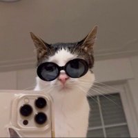 Ayşegül Bayırbaşı (@aaysegulbb) 's Twitter Profile