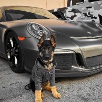 John (@januszpawowski1) 's Twitter Profile Photo