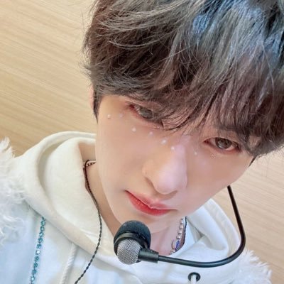 lovestay_man's profile picture. fan acc #스트레이키즈 // living for minchan (╹◡╹）// ♡27/07/25♡
