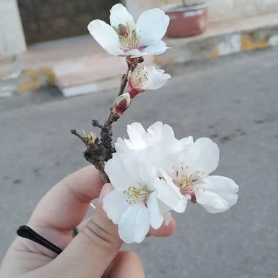 الحمد لله ❤️ || يا جبل البعيد ... خلفك حبايبنا ♡
اللهم حُسن الخاتمة وحسن الرحيل وطيبَ الاثر …