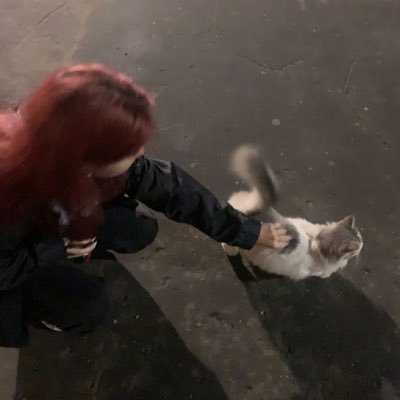 cinnamonsandy's profile picture. lo único que quiero es ser delgada