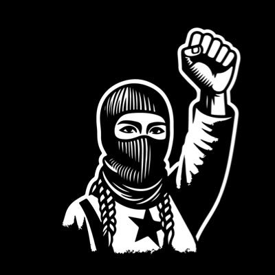 MateoRhojo's profile picture. 