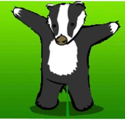 BadgerousII Profile Picture