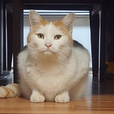 やまむくさんのプロフィール画像