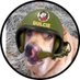 Dulcie In memory of Bailey's days (@BaileyDays) Twitter profile photo