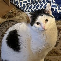 Badger’s Huntress (@stillhashope4us) 's Twitter Profile