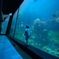 隆ฅ(●´ω｀●)ฅ恵 Takae (@so_taae) 's Twitter Profile Photo