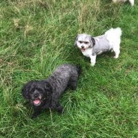 Felicity Spinka (@felicitysp57603) 's Twitter Profile