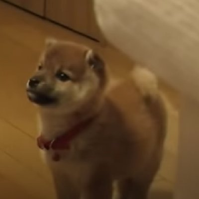 秋冬が好き🥂🍂❄️⛩️🗼🗾
NPB MLB好き⚾❤️⛱️⛱️⛱️🐧❤️⚾
可愛い動物や綺麗な風景など💕🐶😸🦉🌷✨
QuizKnock❤️❤️❤️💕
無言フォロー失礼いたします💐
No DM